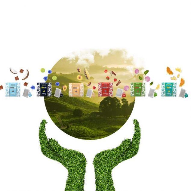 Odoo • Texte et Image