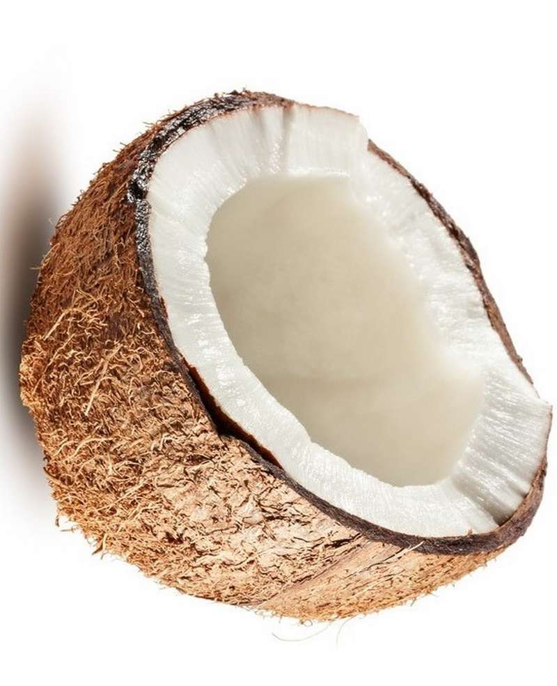 40063 - noix de coco.jpg