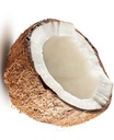40063 - noix de coco.jpg